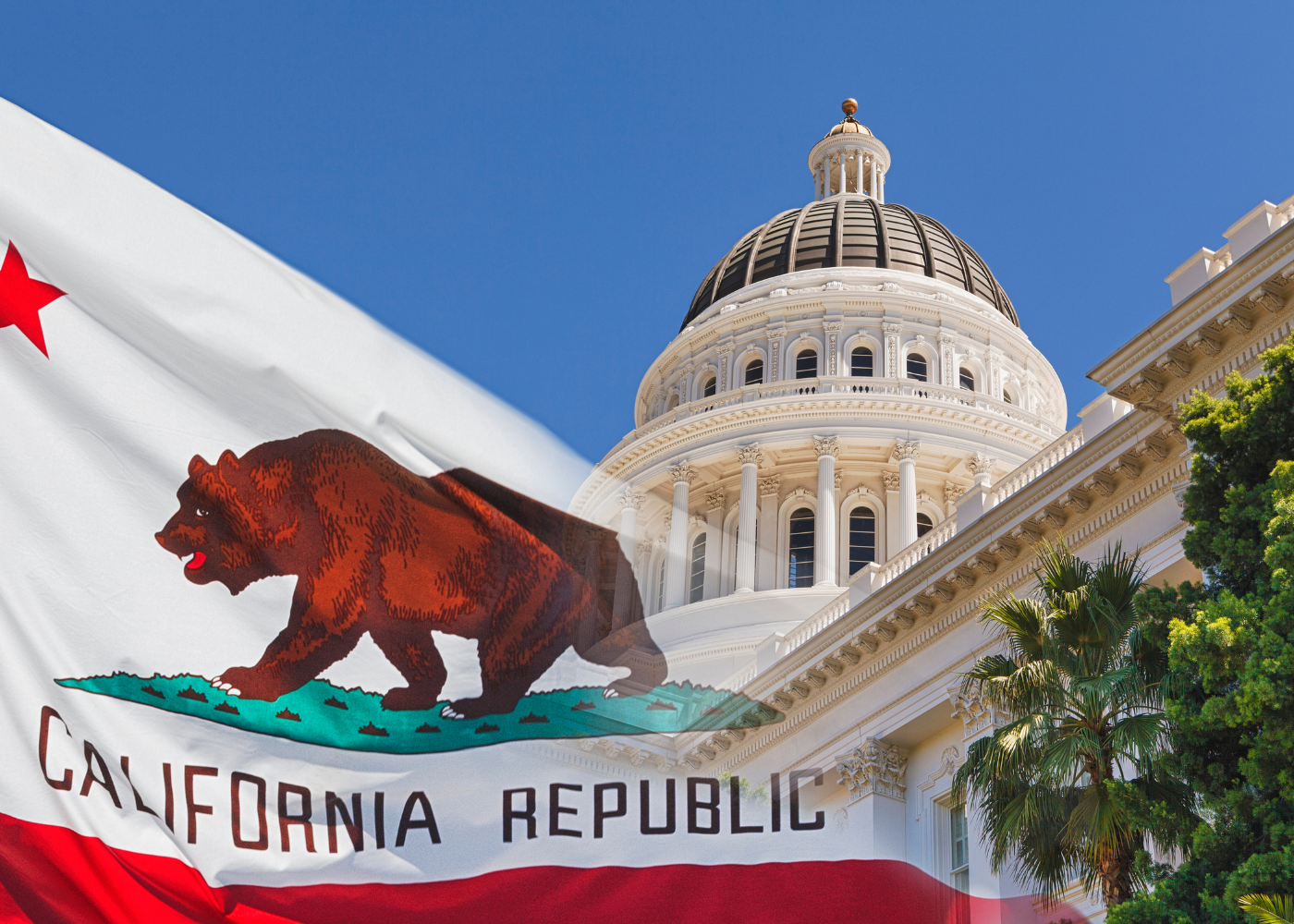 What Are the Legal Consequences of Not Disclosing AI Use to Customers in California